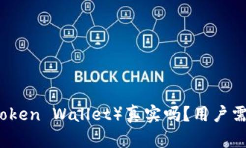 云币钱包（Cloud Token Wallet）真实吗？用户需了解的真相与风险