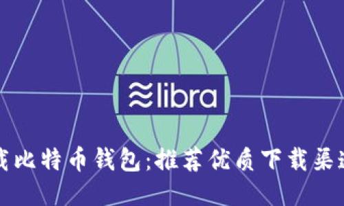 如何安全下载比特币钱包：推荐优质下载渠道与安全秘籍