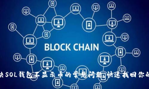 : 解决SOL钱包不显示币的常见问题，快速找回你的资产