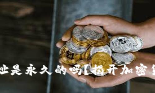 比特币钱包地址是永久的吗？揭开加密货币持有的真相
