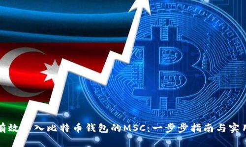 如何有效导入比特币钱包的MSC：一步步指南与实用技巧