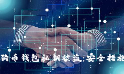 如何防止狗狗币钱包私钥被盗：安全措施与恢复方法