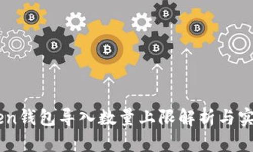 ImToken钱包导入数量上限解析与实用技巧