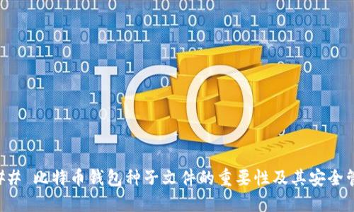 ### 比特币钱包种子文件的重要性及其安全管理