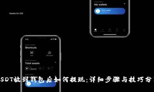 USDT放到钱包后如何提现：详细步骤与技巧分享