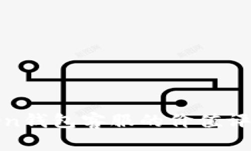 riaotiimToken钱包客服的价值评估与未来展望