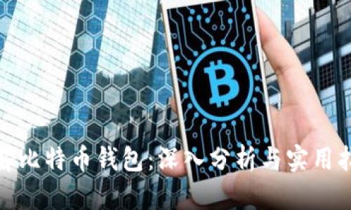 破解比特币钱包：深入分析与实用指南