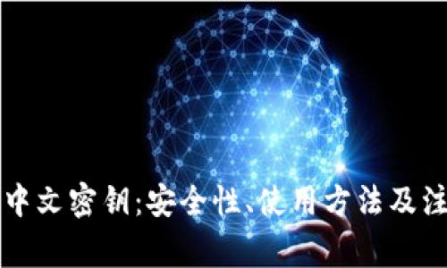 比特币钱包中文密钥：安全性、使用方法及注意事项详解