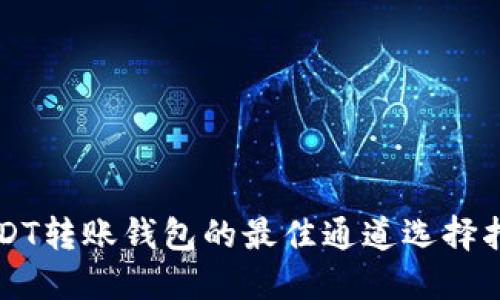 USDT转账钱包的最佳通道选择指南