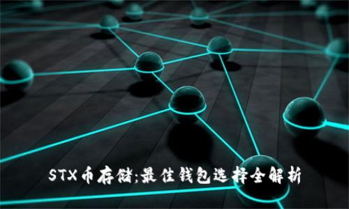STX币存储：最佳钱包选择全解析