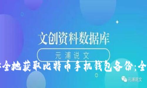 如何安全地获取比特币手机钱包备份：全面指南