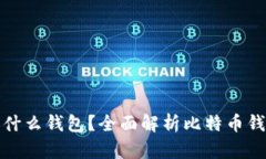 比特币提币用什么钱包？