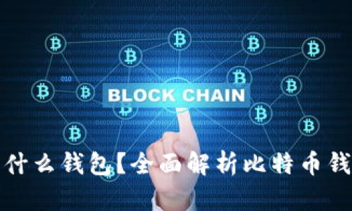 比特币提币用什么钱包？全面解析比特币钱包类型与选择