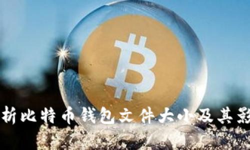 全面解析比特币钱包文件大小及其影响因素