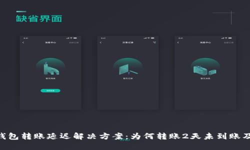 imtoken钱包转账延迟解决方案：为何转账2天未到账及应对措施
