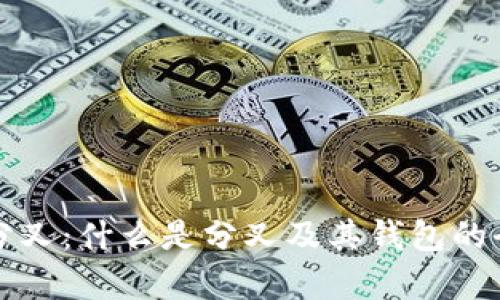 比特币分叉：什么是分叉及其钱包的全面解析