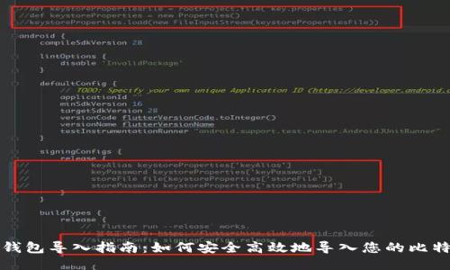 比特币钱包导入指南：如何安全高效地导入您的比特币钱包