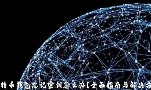 
比特币钱包忘记密钥怎么办？全面指南与解决方案