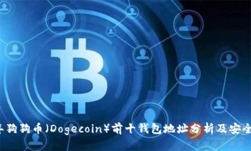2023年狗狗币（Dogecoin）前十钱包地址分析及安全性指南