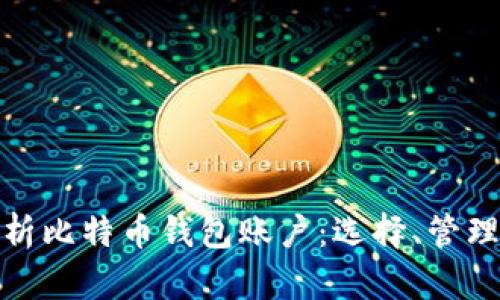 全面解析比特币钱包账户：选择、管理与安全
