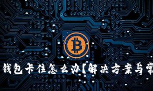 手机比特币钱包卡住怎么办？解决方案与常见问题解析