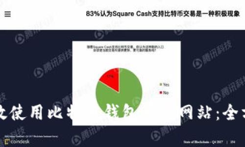 如何有效使用比特币钱包查询网站：全方位指南