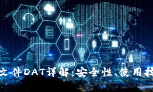 : 比特币钱包文件DAT详解：安全性、使用技巧与技术解析