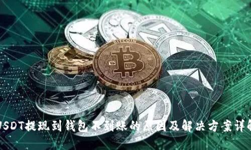 USDT提现到钱包不到账的原因及解决方案详解