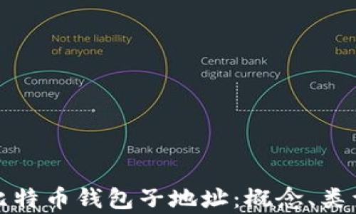 深入解析比特币钱包子地址:概念、类型及安全性