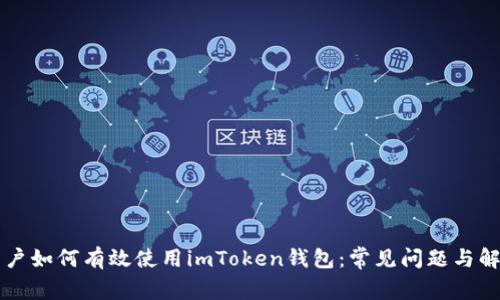 苹果用户如何有效使用imToken钱包：常见问题与解决方案
