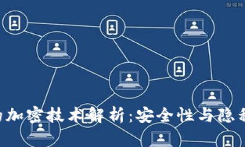 Token钱包的加密技术解析：安全性与隐私保护的未来