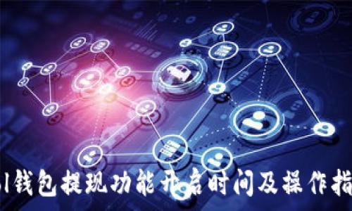   
Sol钱包提现功能开启时间及操作指南