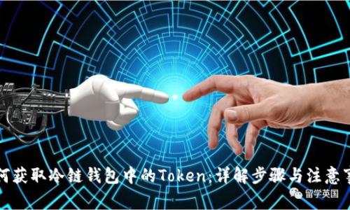如何获取冷链钱包中的Token：详解步骤与注意事项
