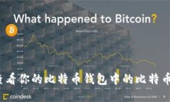 如何查看你的比特币钱包