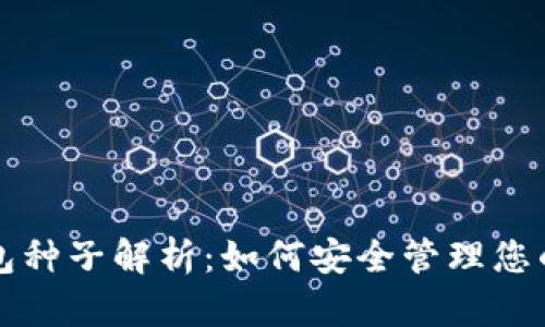 比特币钱包种子解析：如何安全管理您的数字资产