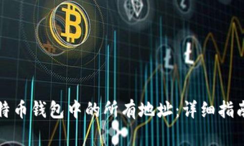 如何导出比特币钱包中的所有地址：详细指南及注意事项