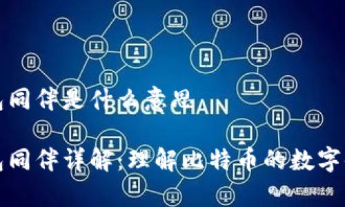 比特币钱包同伴是什么意思

比特币钱包同伴详解：理解比特币的数字储存与安全