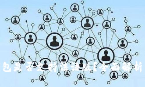 imToken钱包是否支持法语版？全面解析与使用指南