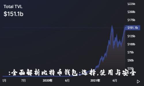 :全面解析比特币钱包：选择，使用与安全