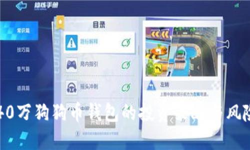 掌握40万狗狗币钱包的投资策略与风险管理