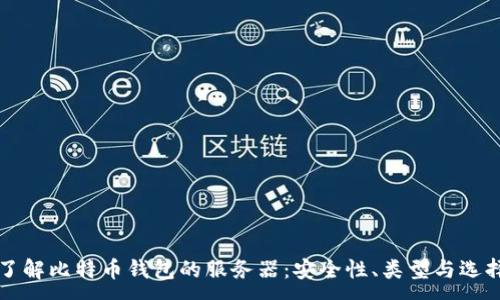 :
全面了解比特币钱包的服务器：安全性、类型与选择指南