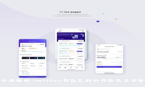 全面解析：imToken钱包支持的网络及其优势