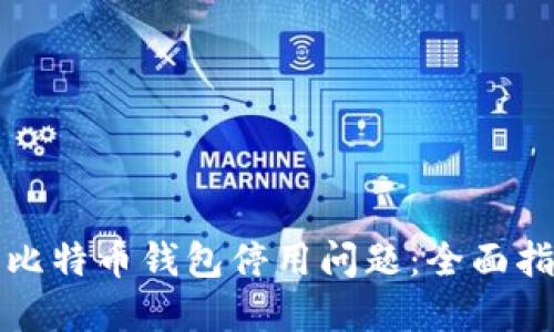 如何解决比特币钱包停用问题：全面指南与技巧