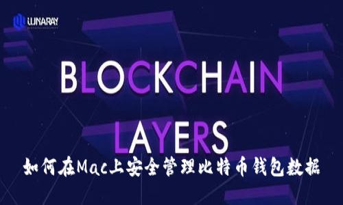 如何在Mac上安全管理比特币钱包数据