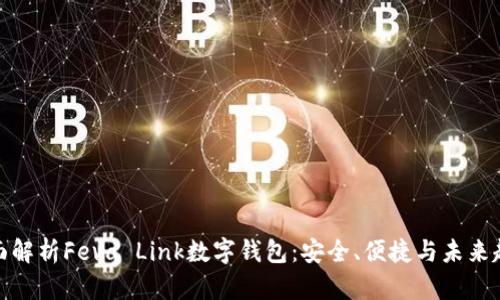 全面解析Feva Link数字钱包：安全、便捷与未来趋势