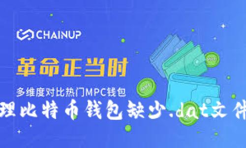 如何处理比特币钱包缺少.dat文件的问题